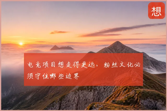 电竞项目想走得更远，粉丝文化必须守住哪些边界
